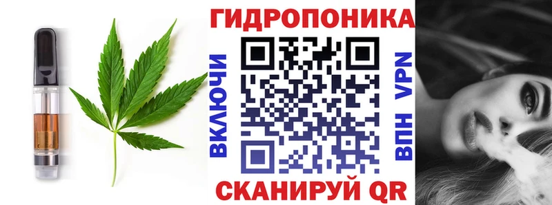 Canna-Cookies марихуана  Сальск 