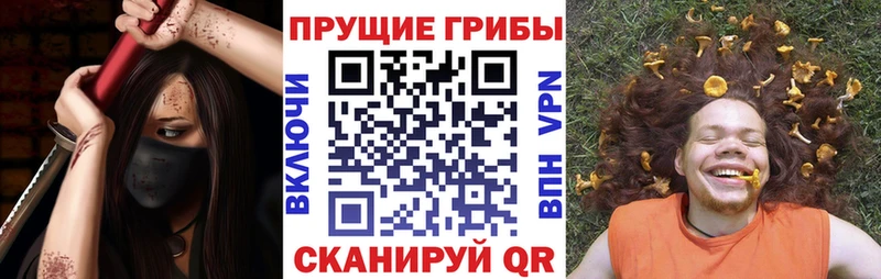 Псилоцибиновые грибы MAGIC MUSHROOMS  ОМГ ОМГ ссылки  Сальск 