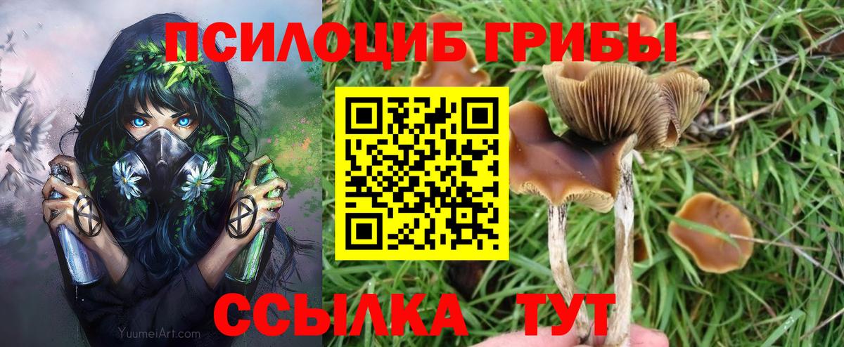 Псилоцибиновые грибы Magic Shrooms Сальск