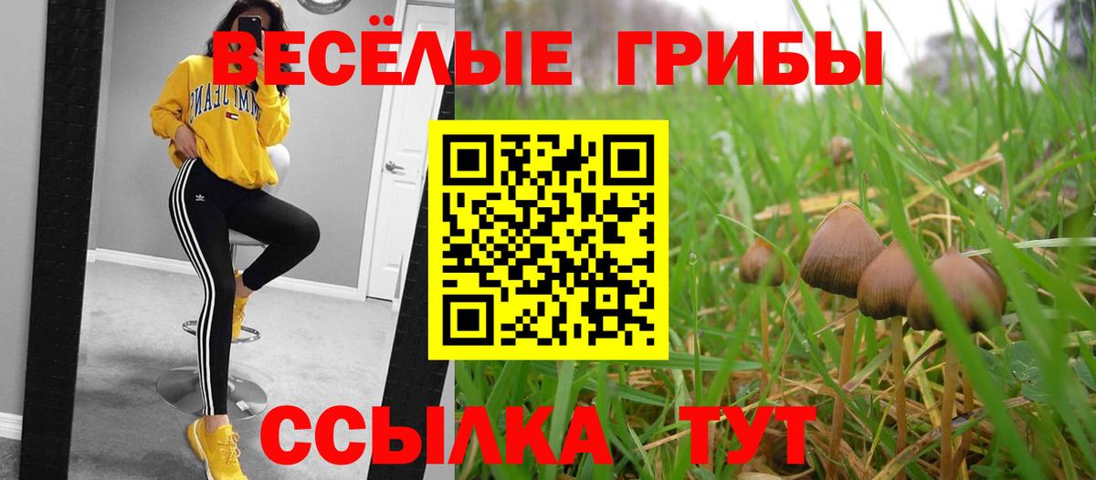 Сальск  Галлюциногенные грибы мухоморы  Вход с VPN 