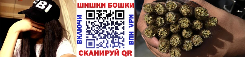 Каннабис AK-47  закладка  Сальск 